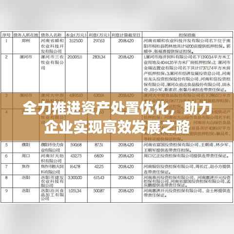 全力推进资产处置优化，助力企业实现高效发展之路