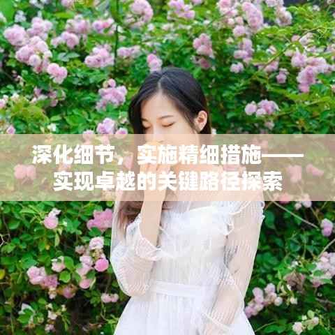 深化细节,实施精细措施——实现卓越的关键路径探索