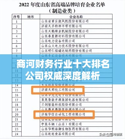 商河财务行业十大排名公司权威深度解析