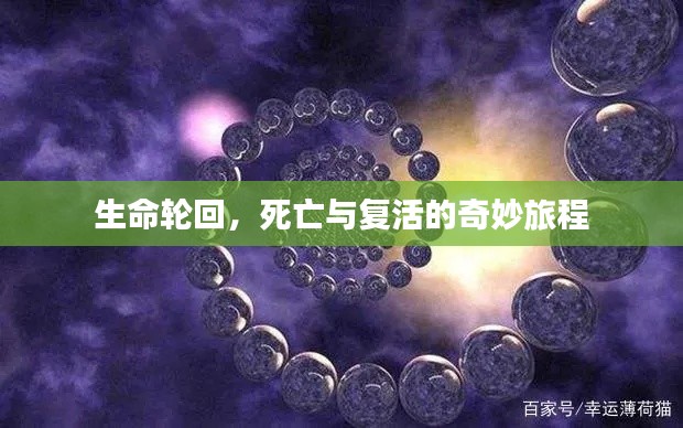生命轮回,死亡与复活的奇妙旅程