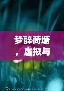 梦醉荷塘,虚拟与现实的诗意梦幻之旅