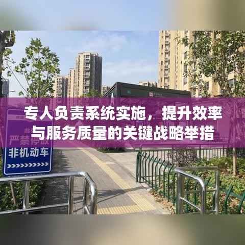 专人负责系统实施,提升效率与服务质量的关键战略举措