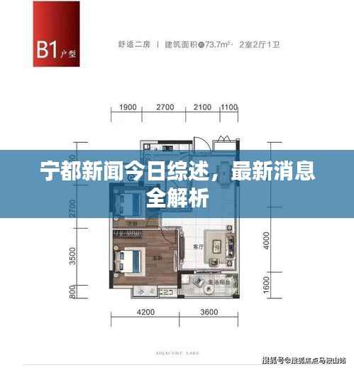 宁都新闻今日综述,最新消息全解析