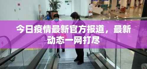 目不转睛 第5页