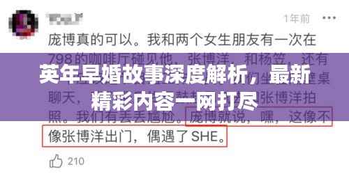 英年早婚故事深度解析,最新精彩内容一网打尽