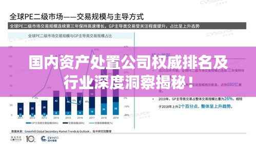 国内资产处置公司权威排名及行业深度洞察揭秘!