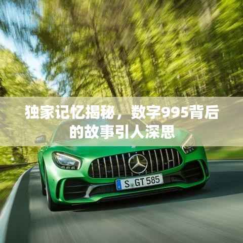 独家记忆揭秘,数字995背后的故事引人深思