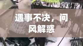 遇事不决,问风解惑