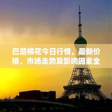 巴楚棉花今日行情,最新价格、市场走势及影响因素全解析