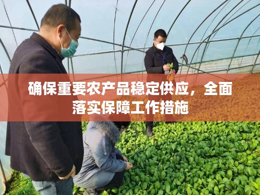 确保重要农产品稳定供应，全面落实保障工作措施