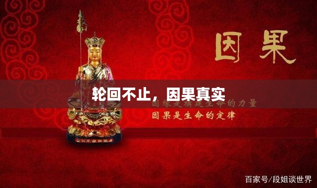 轮回不止,因果真实