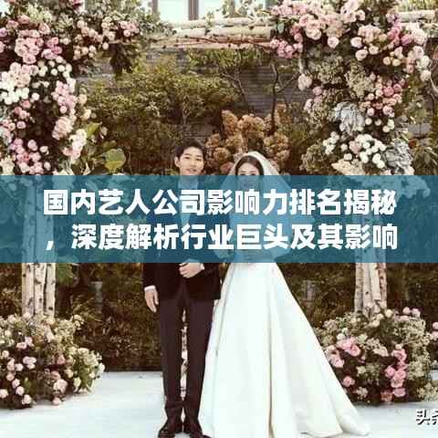 国内艺人公司影响力排名揭秘,深度解析行业巨头及其影响力