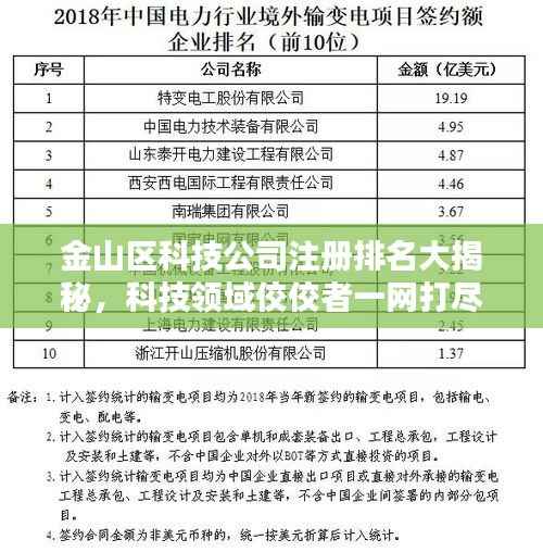 金山区科技公司注册排名大揭秘,科技领域佼佼者一网打尽!
