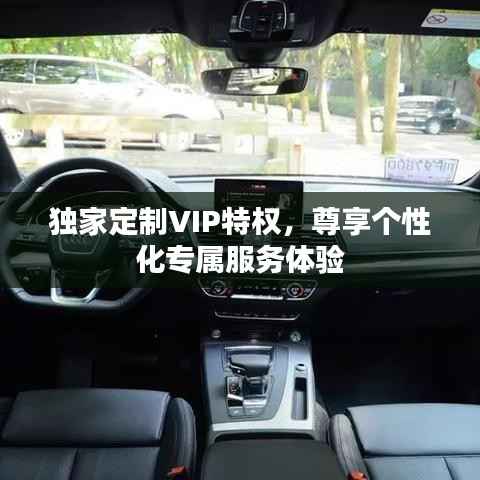 独家定制VIP特权,尊享个性化专属服务体验