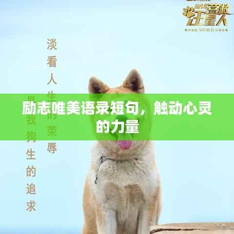 励志唯美语录短句，触动心灵的力量